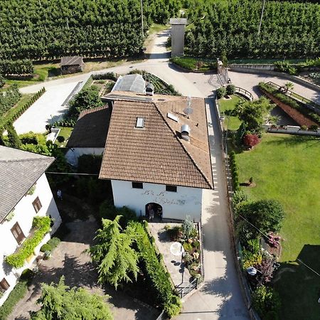 Bed and Breakfast Al Trifoglio Campodenno Exterior foto