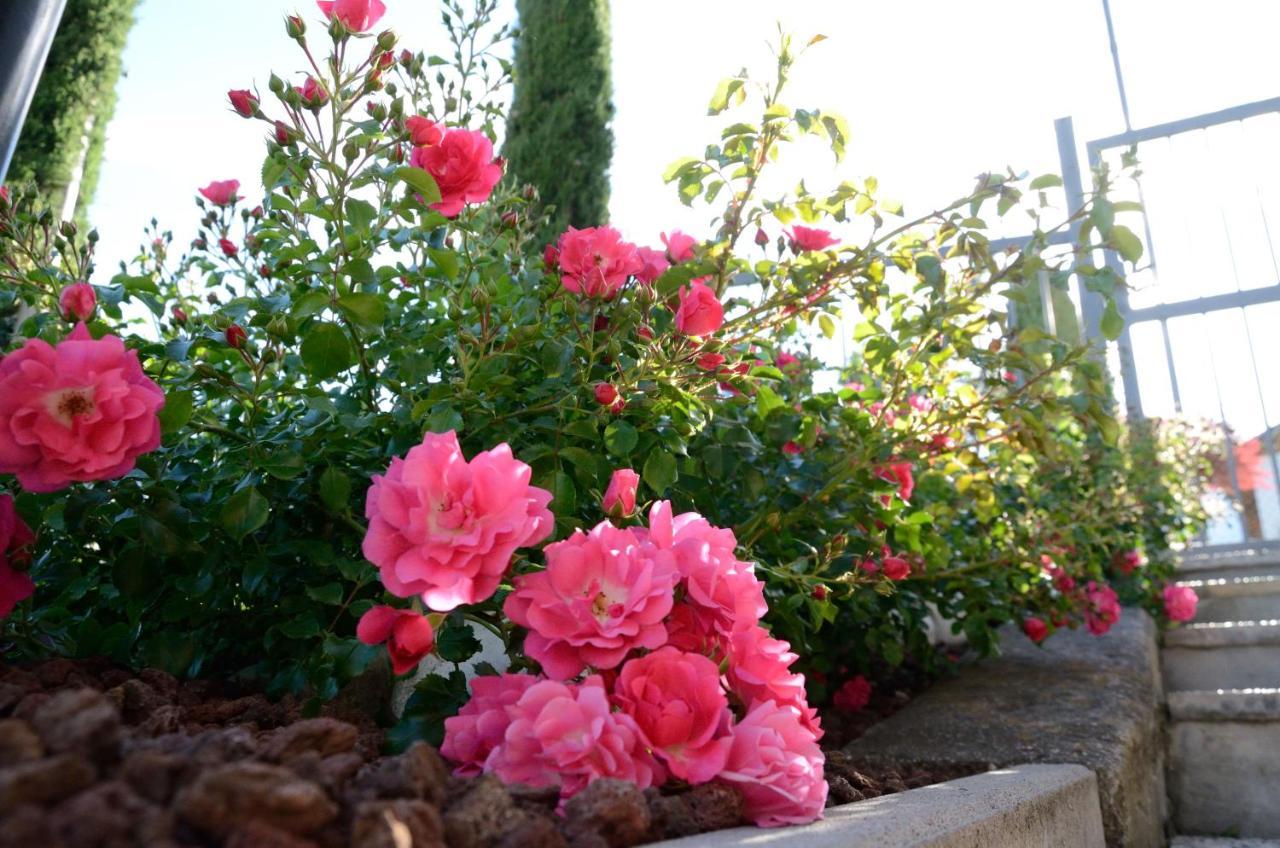 Bed and Breakfast Al Trifoglio Campodenno Exterior foto