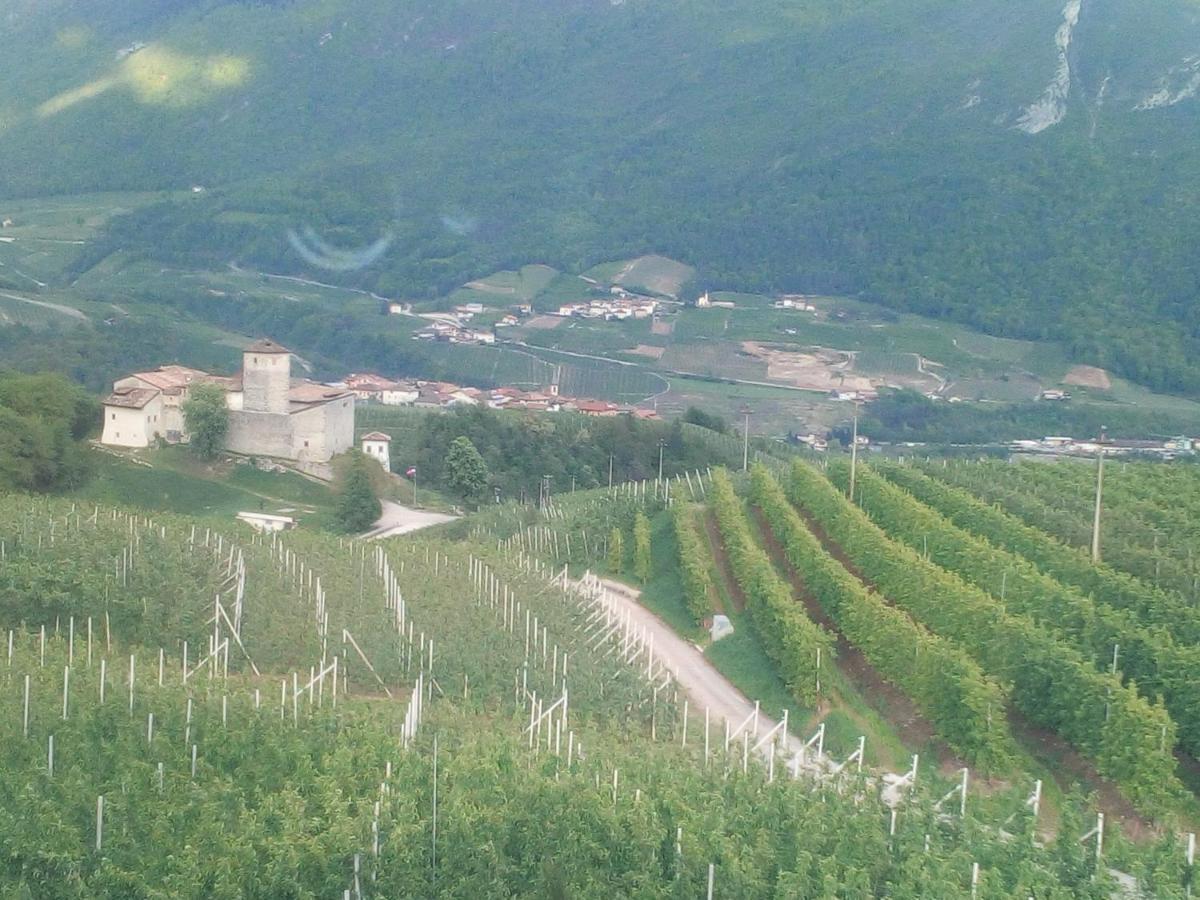 Bed and Breakfast Al Trifoglio Campodenno Exterior foto