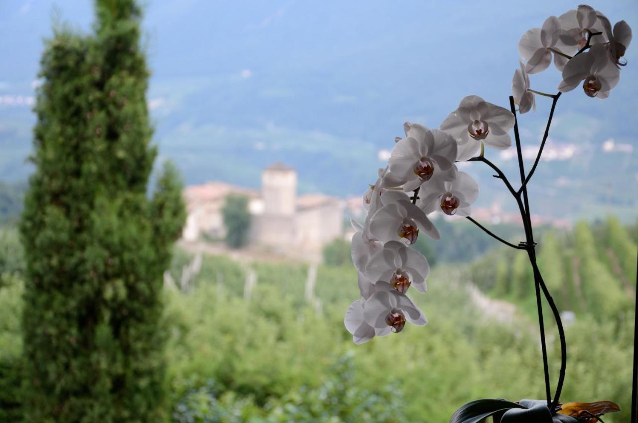 Bed and Breakfast Al Trifoglio Campodenno Exterior foto